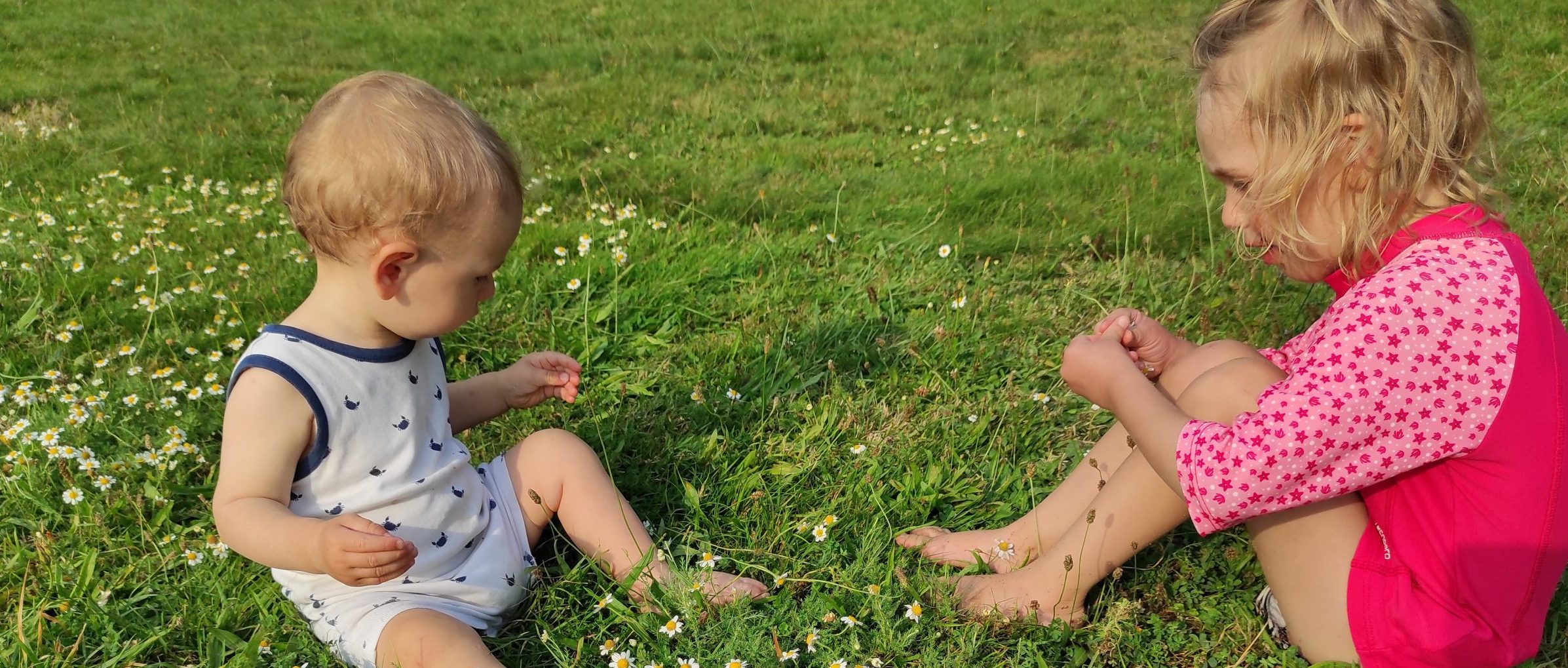 Enfants dans le champ
